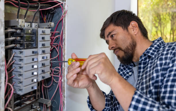 Best Licensed Electrician  in Fobes Hill, WA